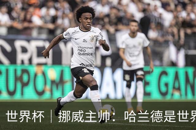 世界杯｜挪威主帅：哈兰德是世界上最好的射手